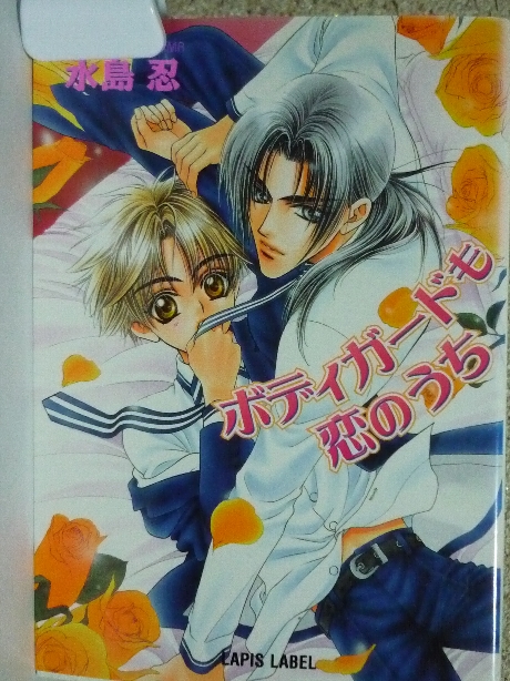 ボディガードも恋のうち　水島忍(著)